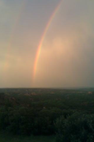 New year, New Growth? Or Decline?