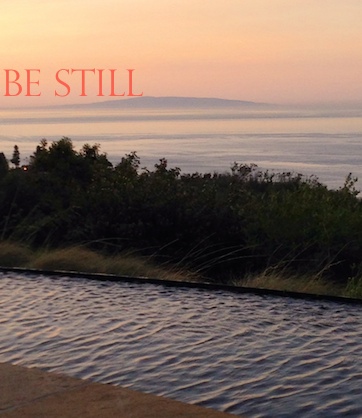 The Will to Still – Part One