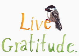 7 habits to Live Gratitude