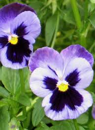 Easter, just a Day or a Way of Life?