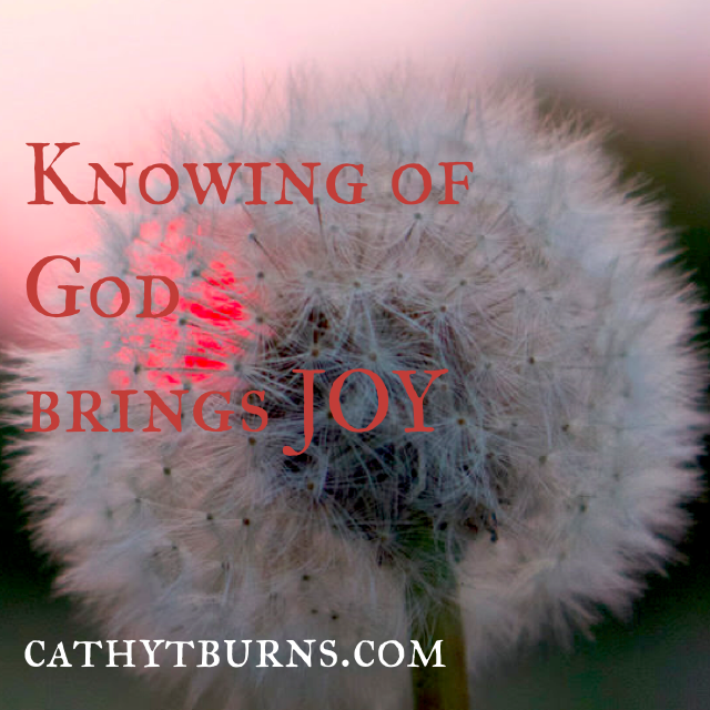 My Morning reflections: The Knowing of God