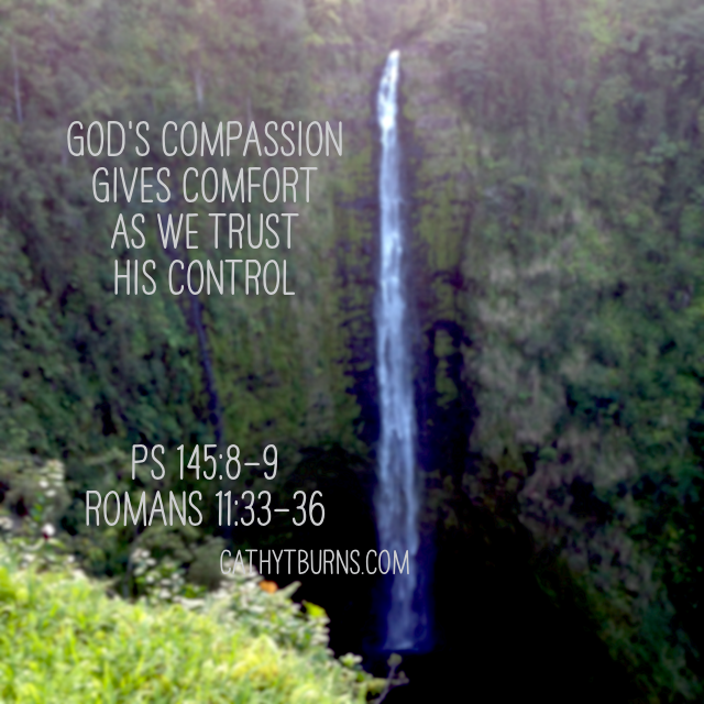 My Morning Reflections