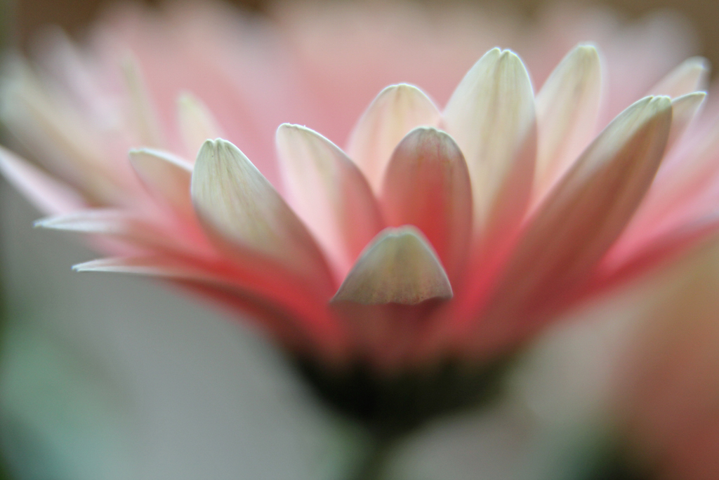 Move to Wait, Wait to Move, the Journey of a Resurrected Life