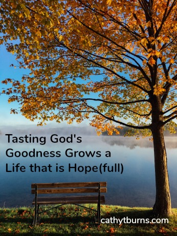 To Taste God’s Goodness We Must First Have a Taste for God  Part 3
