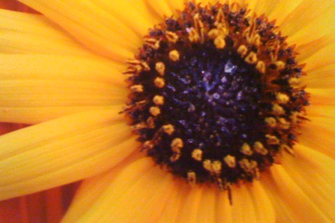 Mindful Change vs Mindless Habit