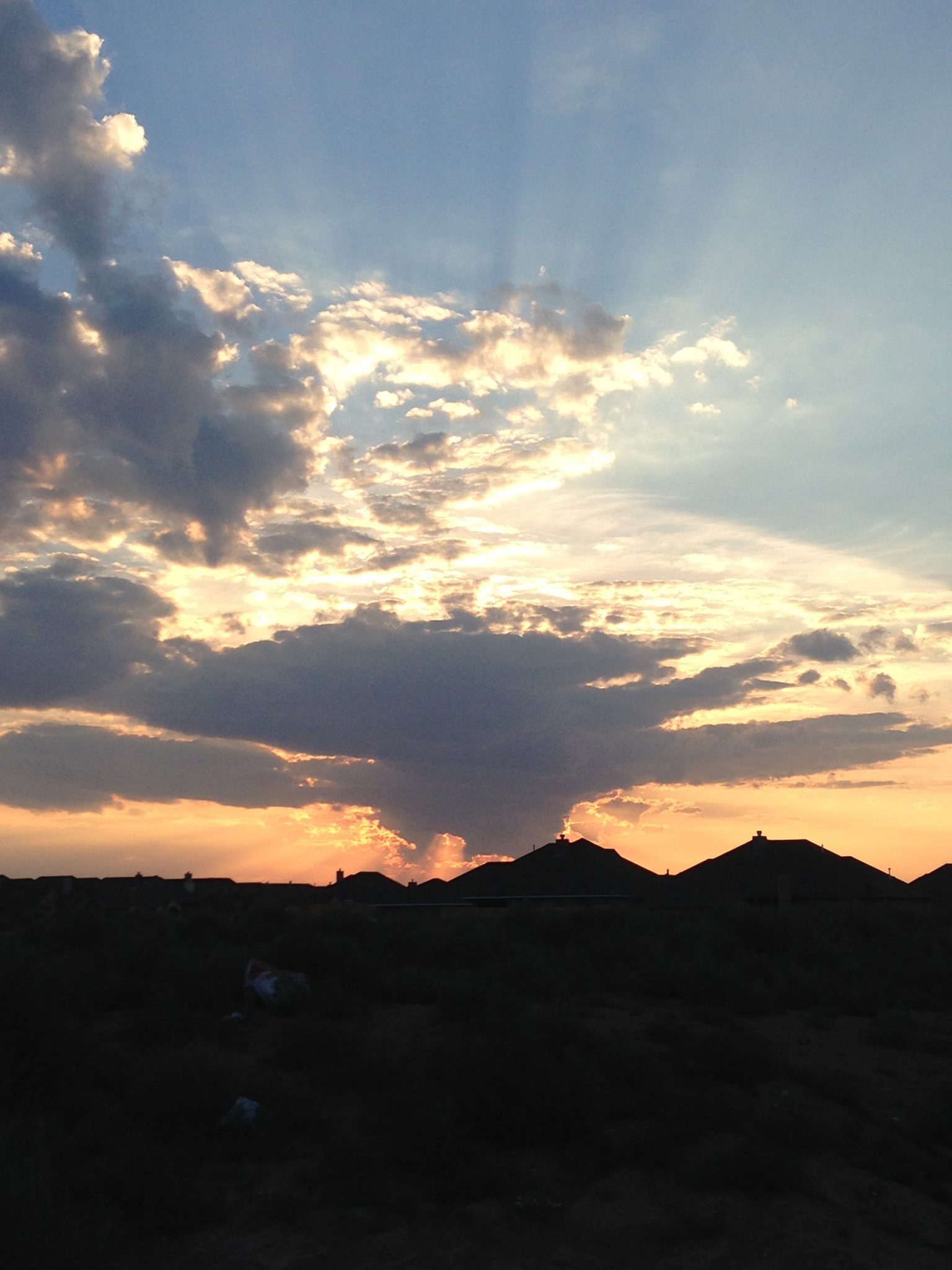 My Morning Reflections