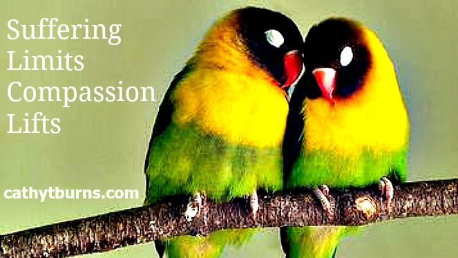 How to See an Invisible Illness OR Suffering Collides with Compassion