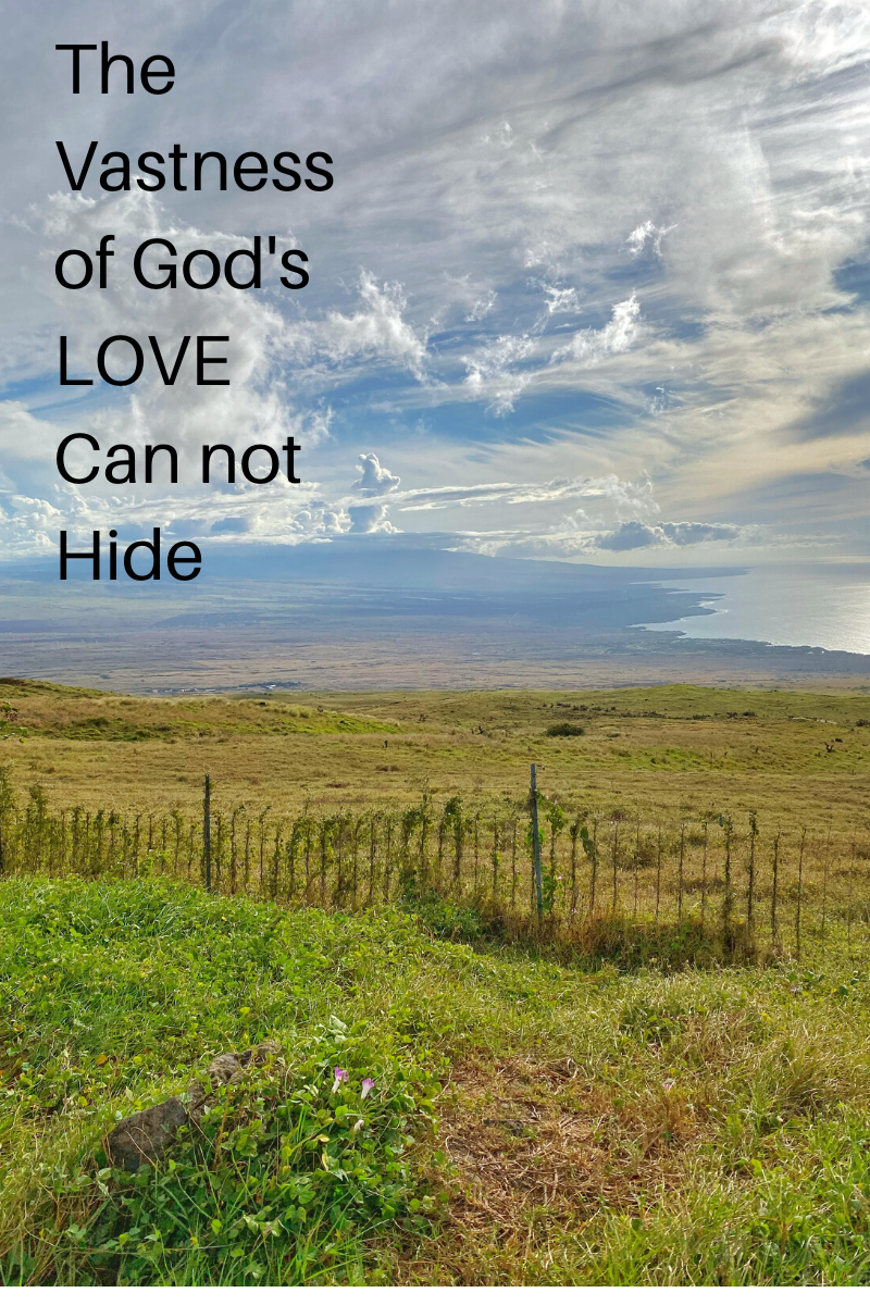 Does God Hide?